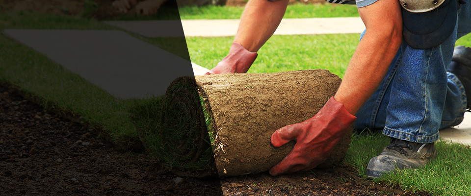 Lonoke Landscapers